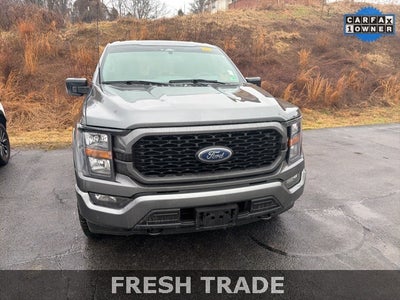 2023 Ford F-150 XL STX
