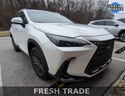 2024 Lexus NX 350 Premium